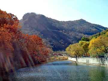 新澳天天开奖资料大全旅游团，电动打压泵